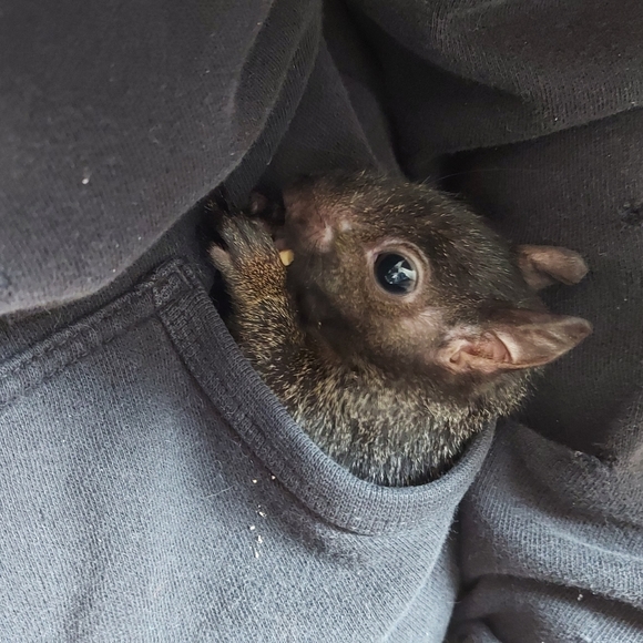 Meet your Posher, Kim - Picture 2 of 5